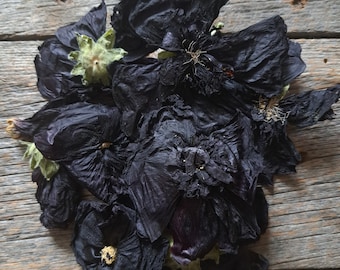May include: A cluster of dried black hibiscus flowers on a wooden surface. The flowers are arranged in a circular pattern, with the petals curled inwards.