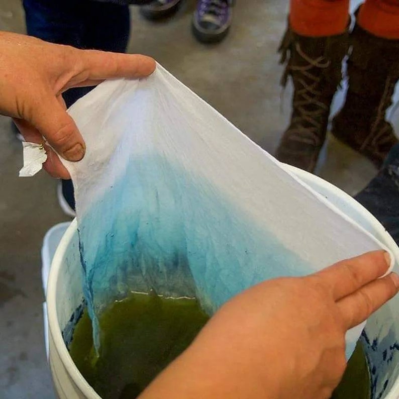 May include: A white cloth is being lifted out of a bucket of blue dye. The cloth is partially submerged in the dye, and the bottom half is a light blue color.