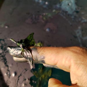 May include: Close-up of a hand covered in silver paint, holding a small, dark green leaf-like object. The background is blurred, with hints of green and gray.