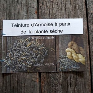 Explanatory booklet for vegetable tincture of Mugwort