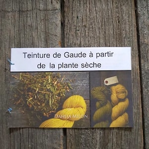 Erläuterungsbroschüre zur pflanzlichen Tinktur aus trockenem Gaude – Reseda luteola