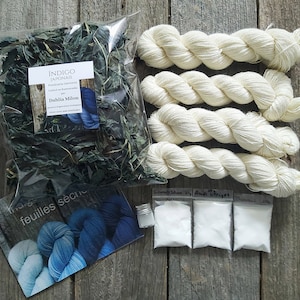 Peut inclure: Un kit de teinture à l'indigo naturel avec des feuilles d'indigo séchées, du fil blanc et un petit pot de soude. Le kit comprend des instructions pour la teinture à l'indigo naturel.
