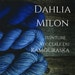 dahlia milon