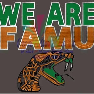 May include: A green and orange rhinestone design with the words "WE ARE FAMU" and a black and orange snake with green accents.