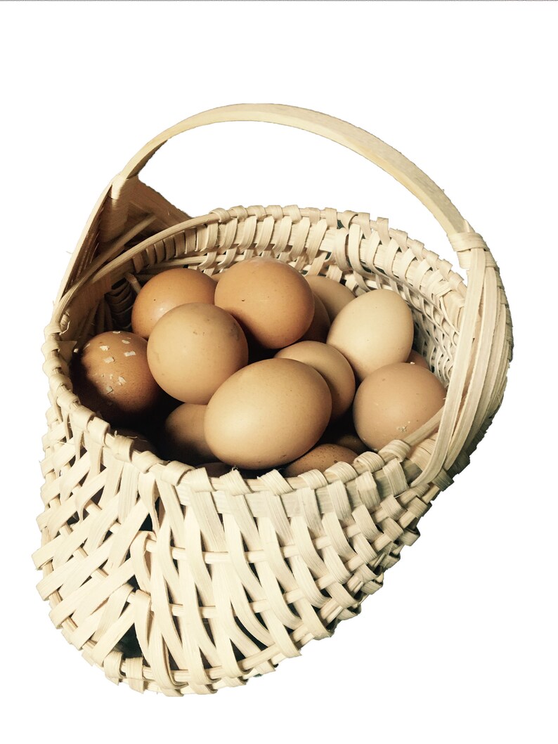 Handmade Egg Gathering Basket Basket for Collecting Eggs Etsy