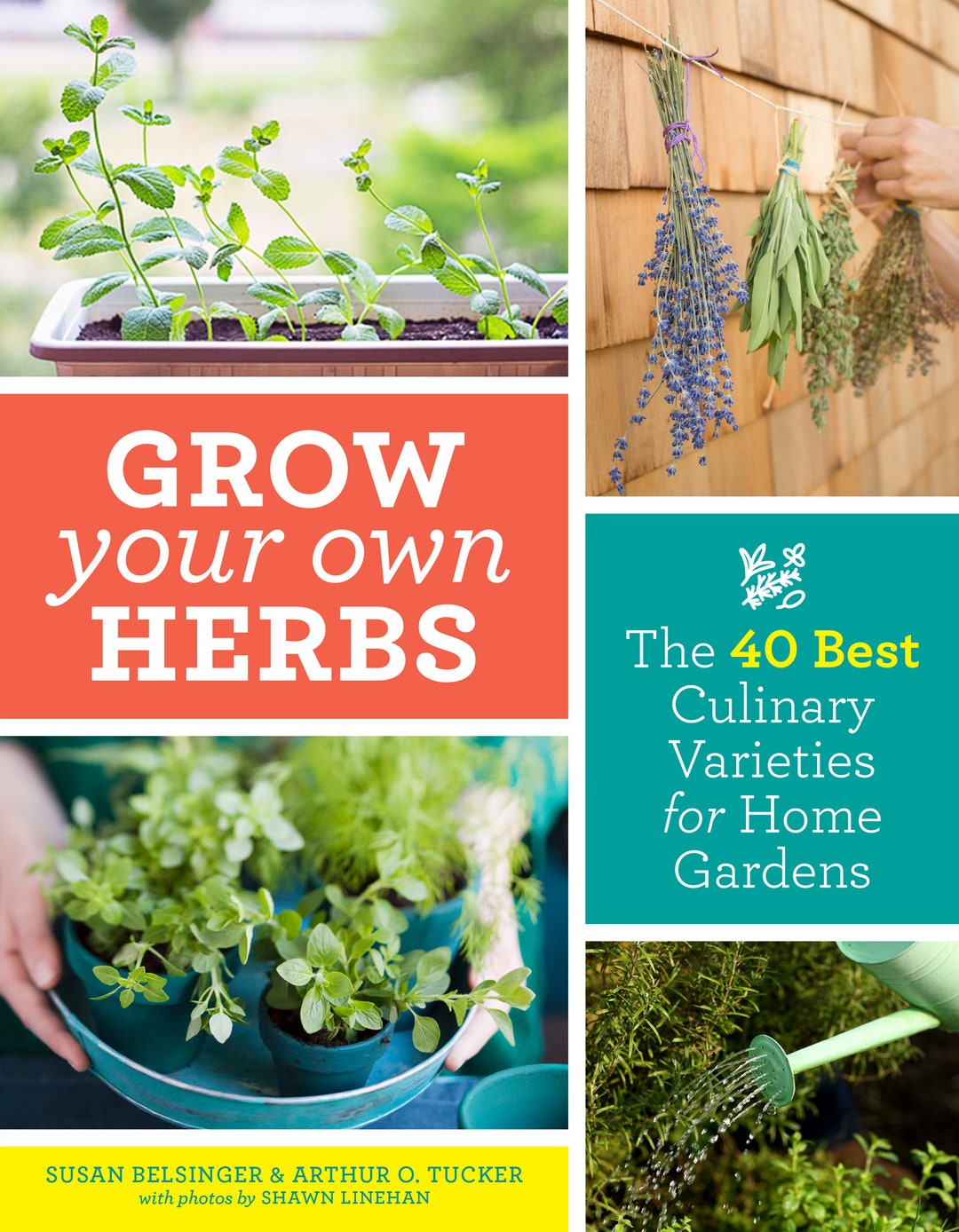 Grow Your Own Herbs Book How To Gardening Homestead Etsy