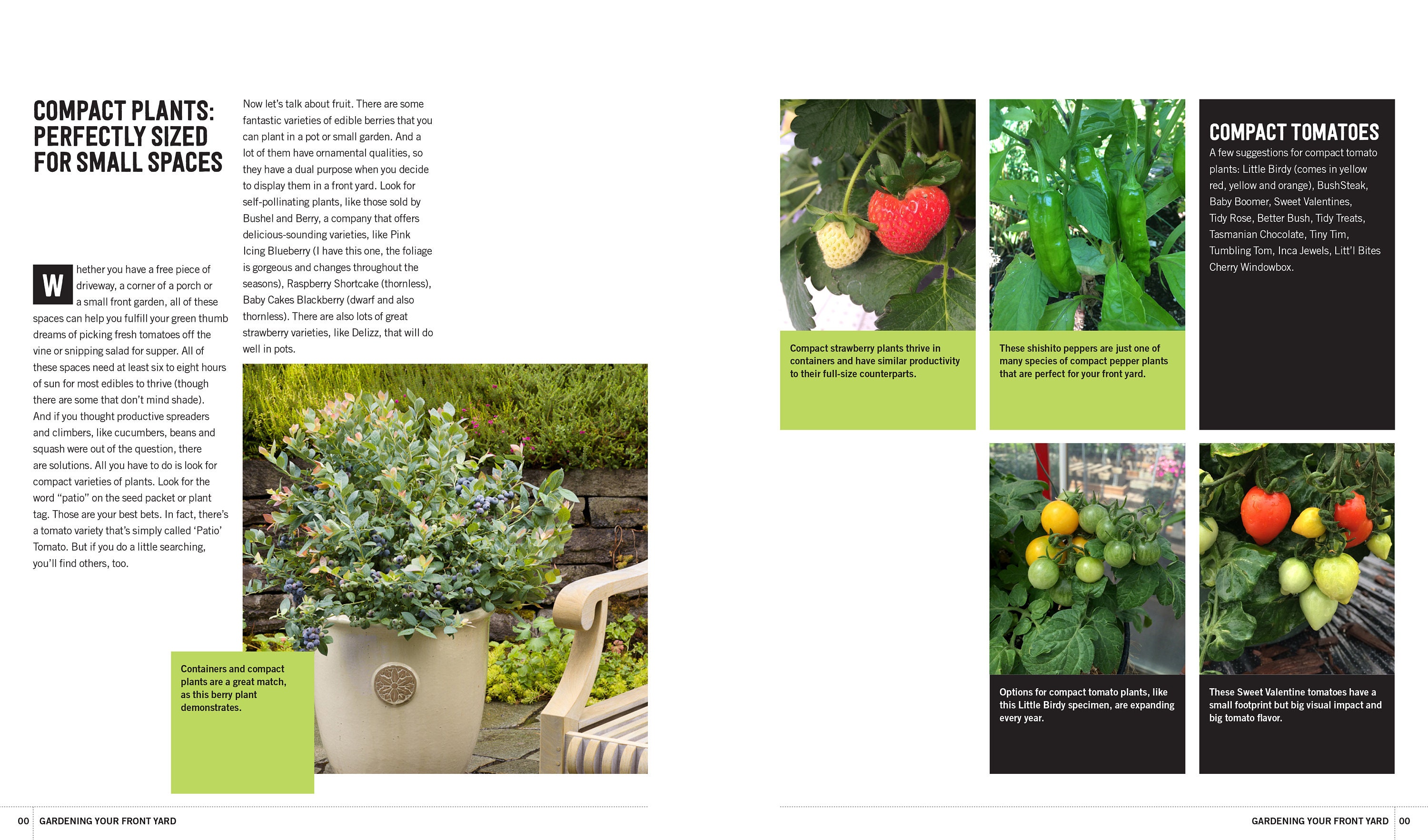 Gardening Your Front Yard, Projects and Ideas for Big & Small Spaces ...