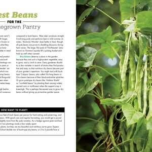 May include: A close-up of a green bean plant with long, green pods. The text "Northeaster" pale beans is visible at the bottom of the image. The image is from a book about growing beans in a home garden.