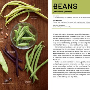May include: A close-up of various types of green beans, including 'Rooder Bush Snap Beans', 'Cantaloupe Bush Snap Beans', 'Northeastern Pole Beans', 'Royal Burgundy Bush Snap Beans', 'Tiger Eye and Cranberry Pole Beans', and 'Christmas Lima Beans'. The beans are arranged on a wooden surface. The text 'BEANS (Phaseolus species)' is visible in the upper right corner of the image.