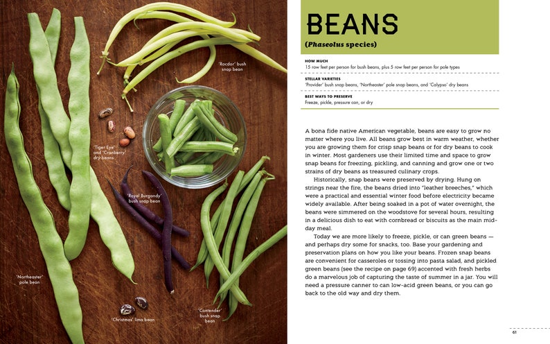 May include: A close-up of various types of green beans, including 'Rooder Bush Snap Beans', 'Cantaloupe Bush Snap Beans', 'Northeastern Pole Beans', 'Royal Burgundy Bush Snap Beans', 'Tiger Eye and Cranberry Pole Beans', and 'Christmas Lima Beans'. The beans are arranged on a wooden surface. The text 'BEANS (Phaseolus species)' is visible in the upper right corner of the image.