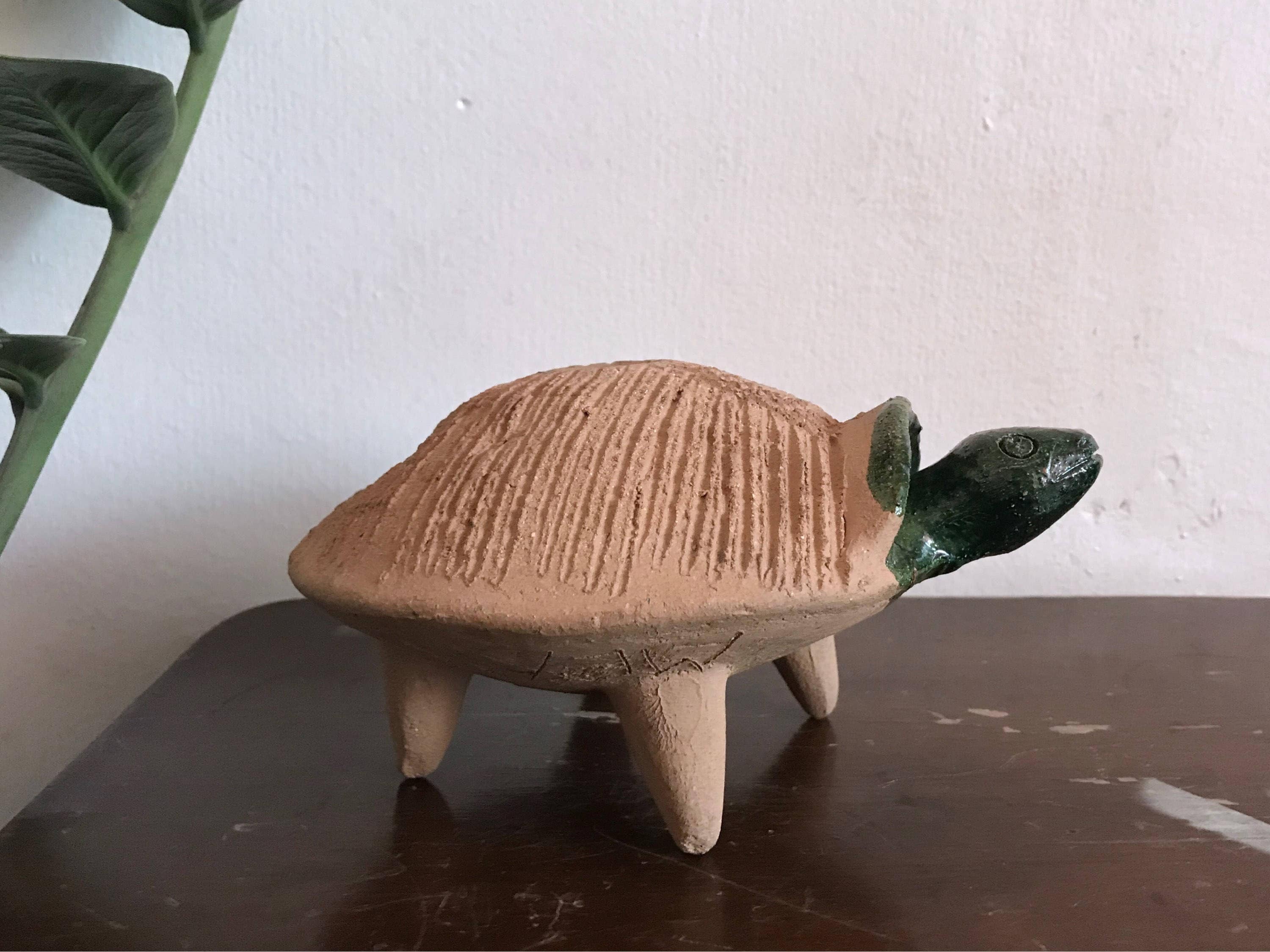 Turtle chia pet