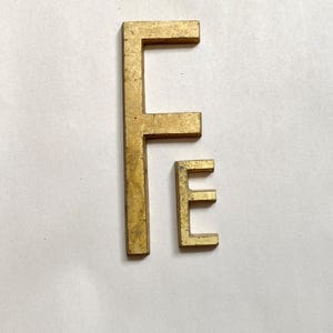 May include: Two brass letters, an uppercase "F" and a lowercase "e", are displayed against a white background. The "F" is larger, and both letters have a slightly aged, textured appearance. The letters are likely for decorative or crafting purposes.
