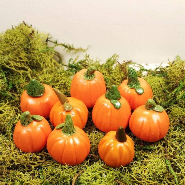 Fairy garden accessories, terrarium decor. Miniature pumpkins. 9 piece set. Fall, autumn minis.