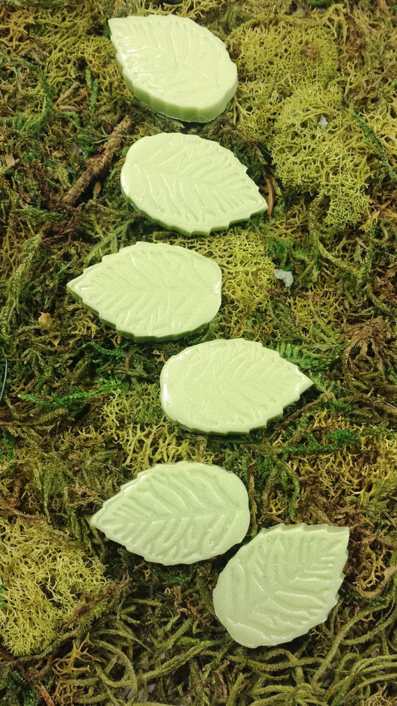 Accessories Miniature Dollhouse FAIRY GARDEN Peter Rabbit Stepping Stones