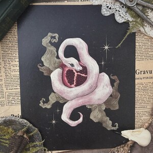 Puede incluir: Una impresión artística cuadrada que presenta una serpiente blanca enrollada alrededor de una granada sobre un fondo negro. La impresión tiene una estética vintage, con un fondo de periódico y elementos decorativos.