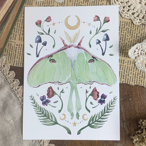 Luna Moth Botanical Watercolor Print | Etsy