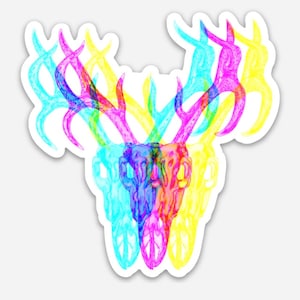 Buck Skull
