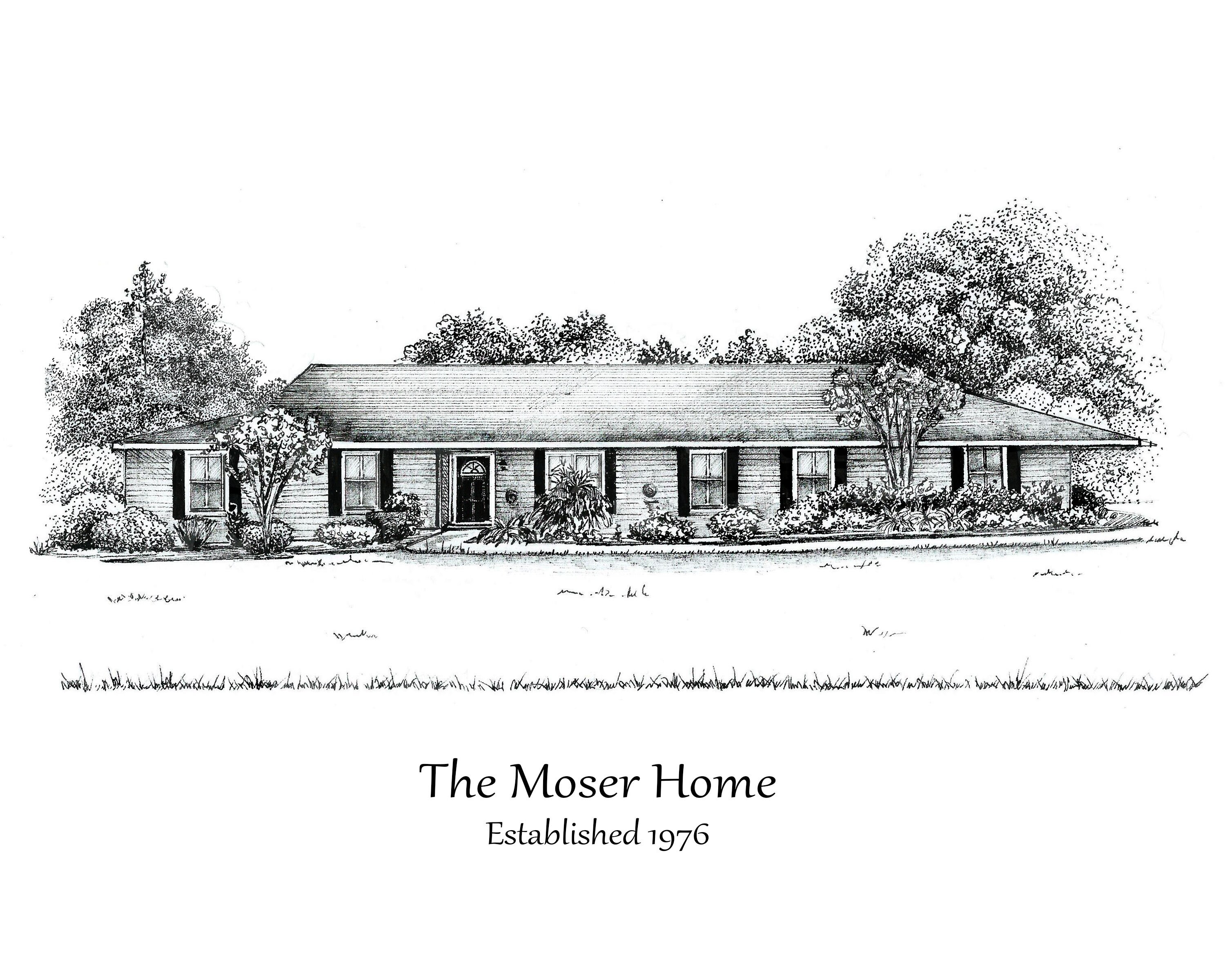 Pen and Ink House Drawing / House Illustration/ Custom House Portrait ...