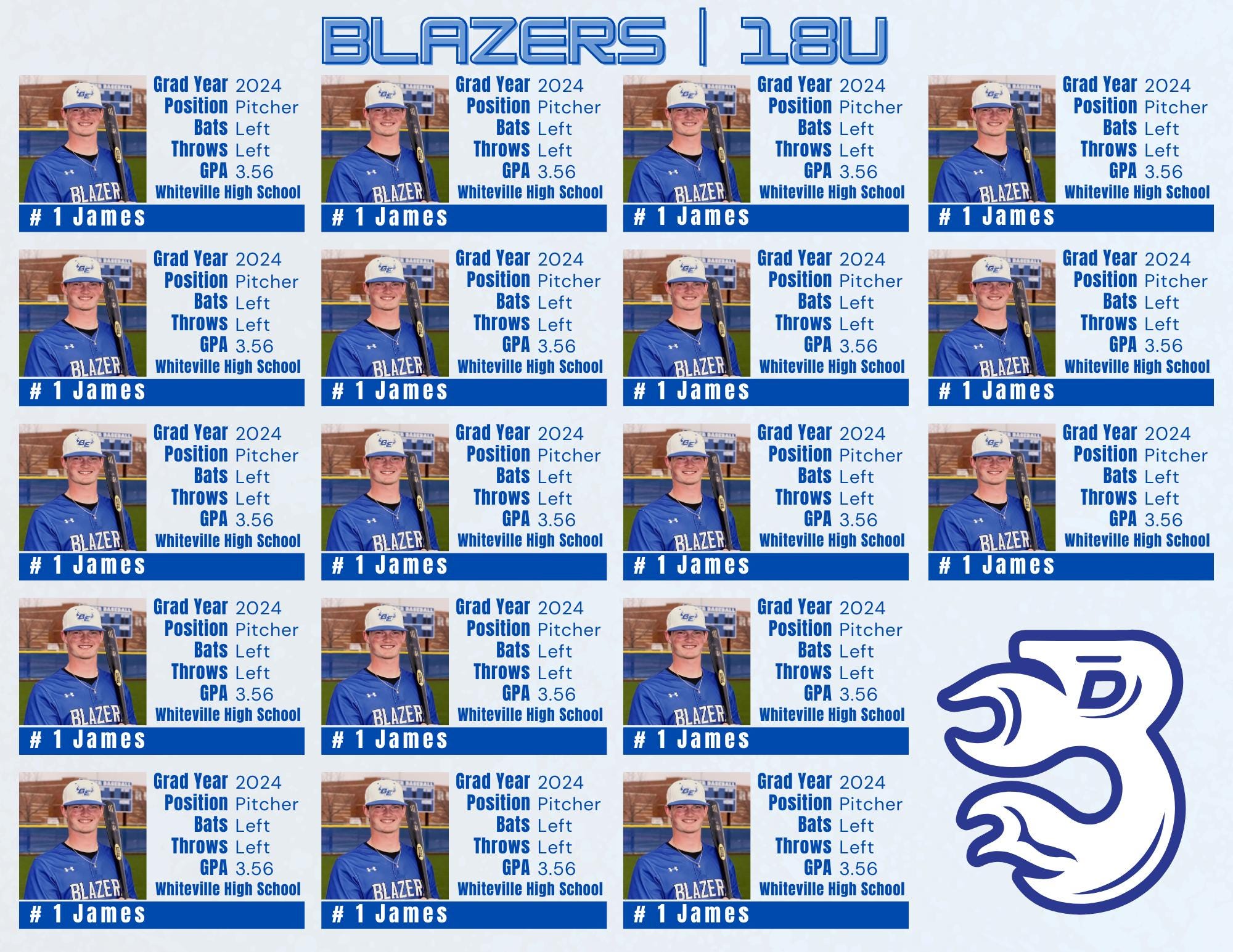 Editable Canva Travel Ball Roster - Etsy