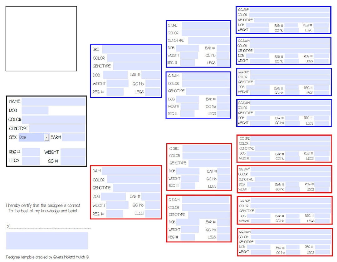 personalized-custom-rabbit-pedigree-pdf-template-updated-version-etsy