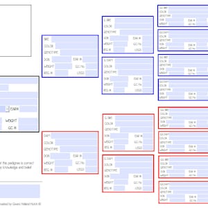 Modello PDF personalizzato con pedigree di coniglio personalizzato *VERSIONE AGGIORNATA!*