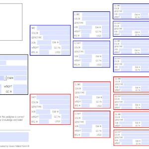 Personalized Custom Rabbit Pedigree PDF Template *UPDATED VERSION!*