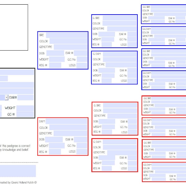 Personalisierte benutzerdefinierte Kaninchen Stammbaum PDF Vorlage * AKTUALISIERTE VERSION! *