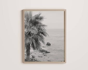 Serenidad de palmeras costeras: impresión artística costera, arte mural fotográfico oceánico, decoración playera editorial minimalista