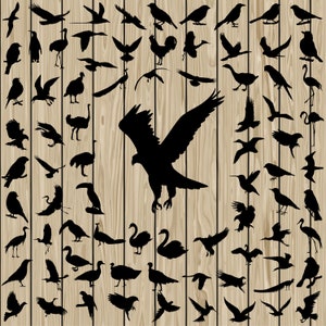 Vogel silhouet SVG PNG bundel Snijbestanden & Afdrukbaar.