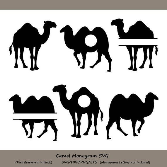 Download Camel Svg Camel Monogram Svg Camel Clipart Animal Svg Etsy PSD Mockup Templates