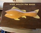 Trophy, Mounted fish, Wide mouth pin bass, Vintage 1960s