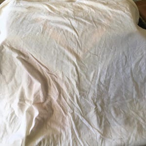 Pode incluir: Uma camiseta branca de algod&atilde;o com uma superf&iacute;cie lisa e sem rugas.