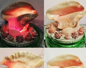 Mid-Century, Retro Conch Sea Shells TV Lamp/Night Light with Beach Shells, light Works well. Try w/different color bulbs