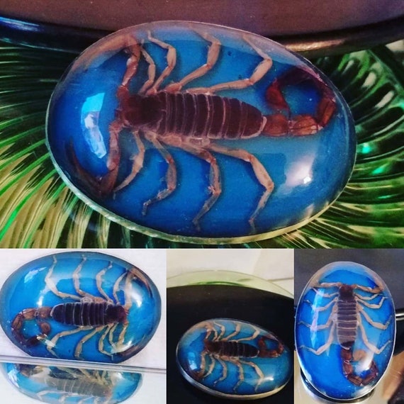 Vintage Scorpion Silver Belt Buckle, Blue under Sc