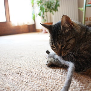 Pode incluir: Um gato tigrado brincando com um rato de brinquedo cinza e branco em um tapete bege.