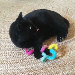 black cat with cat toy rainbow, wool felt