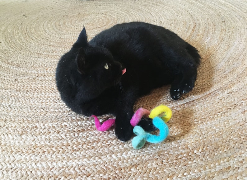 black cat with cat toy rainbow, wool felt
