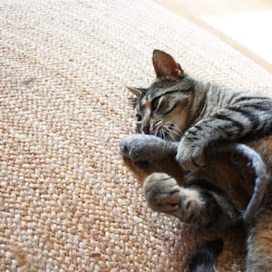 Katzenspielzeug aus Filz – Maus, 100 % natürliche Wolle, handgefertigt in Italien – umweltfreundlich und sicher