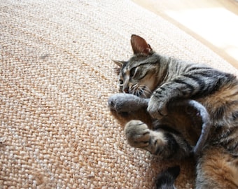 Juguete de fieltro para gatos – Ratón de lana 100 % natural, hecho a mano en Italia – Ecológico y seguro