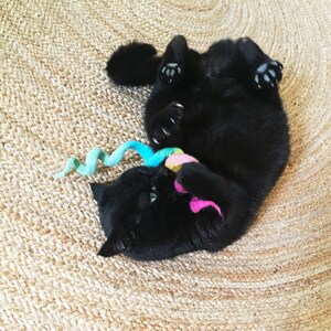 black cat with cat toy rainbow, wool felt