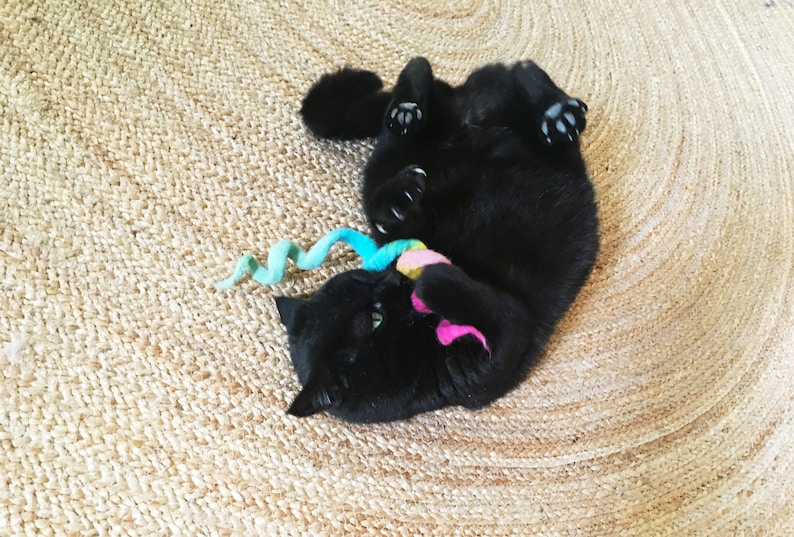 black cat with cat toy rainbow, wool felt