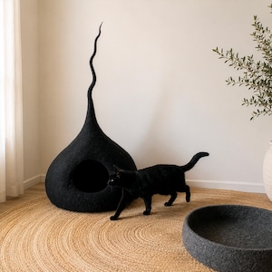 Può includere: Un gatto nero cammina vicino a una cuccia nera con una parte superiore alta e curva. Un letto grigio per gatti è su un tappeto rotondo e tessuto. Una pianta in vaso è sullo sfondo, vicino a una finestra con tende bianche.