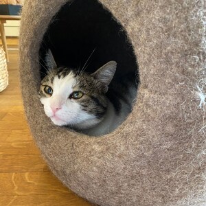 K&ouml;nnte beinhalten: Ein braunes Katzenbett mit dunklem Innenraum. Eine getigerte Katze mit wei&szlig;en und braunen Markierungen schaut aus der &Ouml;ffnung. Die Katze hat gr&uuml;ne Augen und eine rosa Nase. Das Bett besteht aus einem weichen, filzartigen Material.