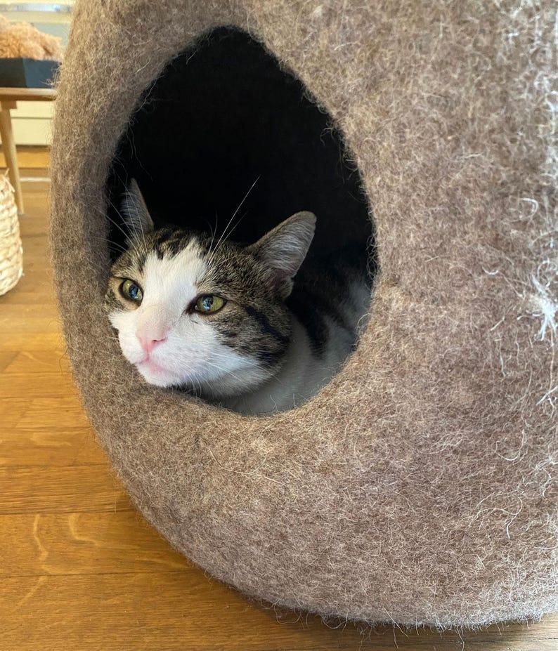 K&ouml;nnte beinhalten: Ein braunes Katzenbett mit dunklem Innenraum. Eine getigerte Katze mit wei&szlig;en und braunen Markierungen schaut aus der &Ouml;ffnung. Die Katze hat gr&uuml;ne Augen und eine rosa Nase. Das Bett besteht aus einem weichen, filzartigen Material.