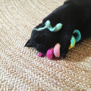 black cat with cat toy rainbow, wool felt