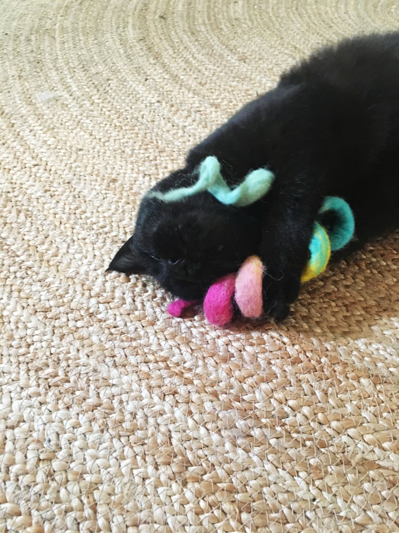 black cat with cat toy rainbow, wool felt