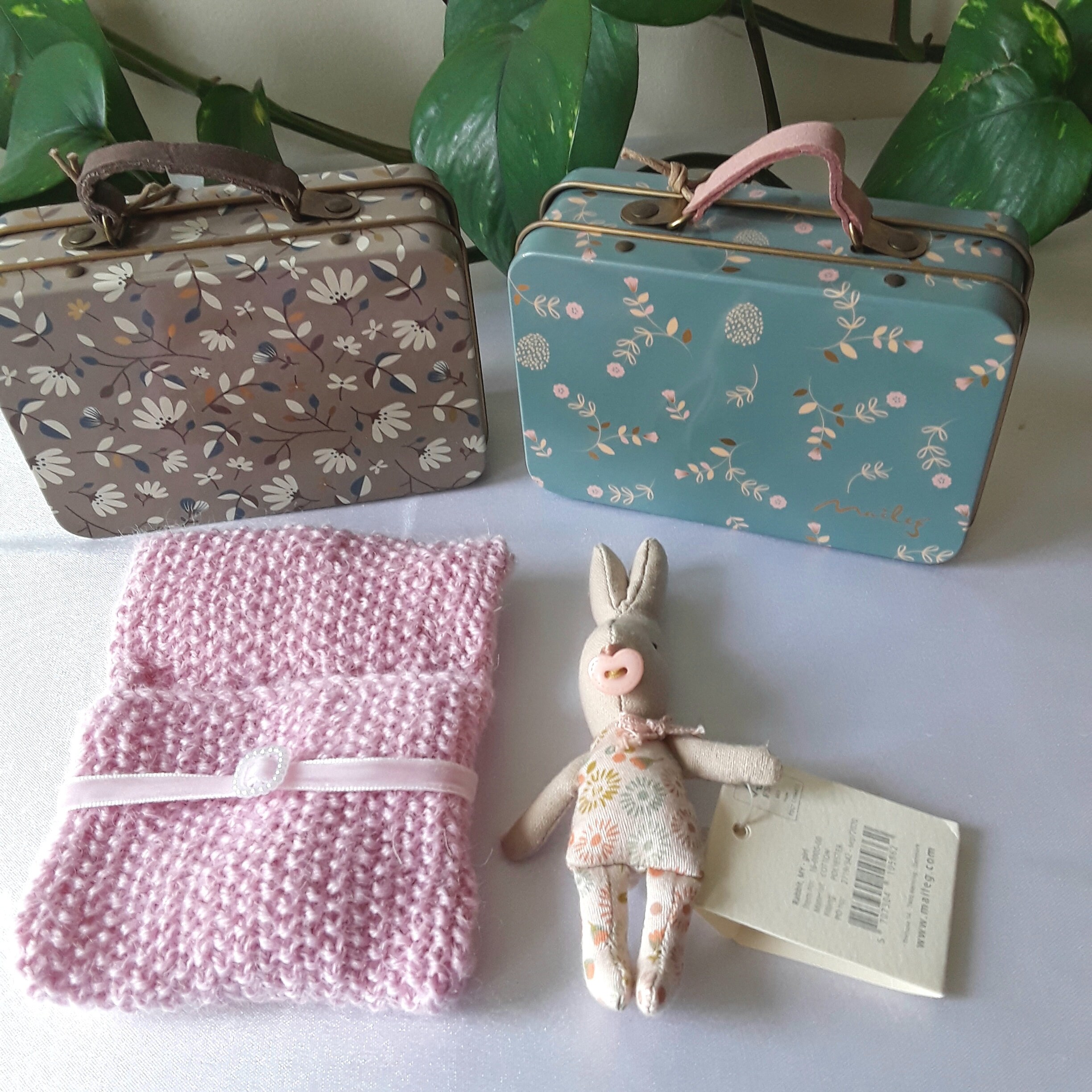 Cute Miniature Bunny Rabbit in Suitcase.