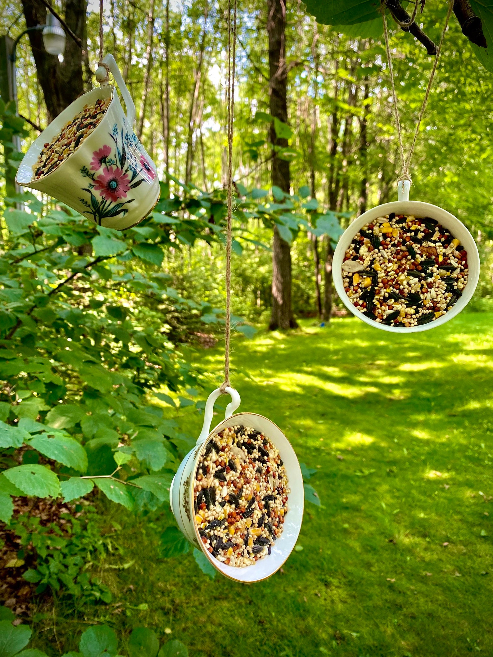 Tea cup bird feeder bird feeders tea cup suet feeder suet Etsy