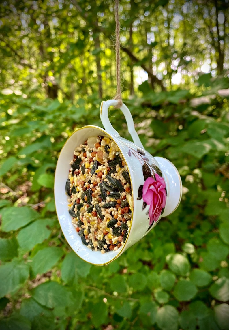 Tea Cup Bird Feeder Bird Feeders Tea Cup Suet Feeder Suet Etsy