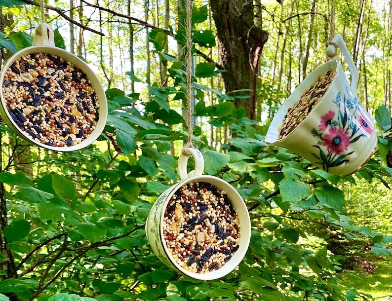Tea Cup Bird Feeder Bird Feeders Tea Cup Suet Feeder Suet Etsy
